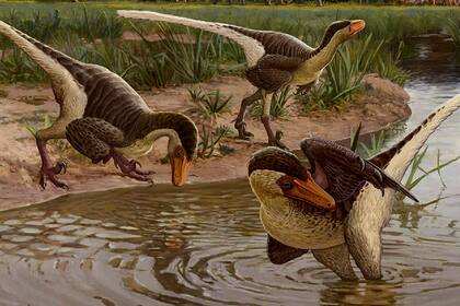 Reconstrucción digital de Dineobellator notohesperus hallado en Ojo Alamo, en Nuevo México