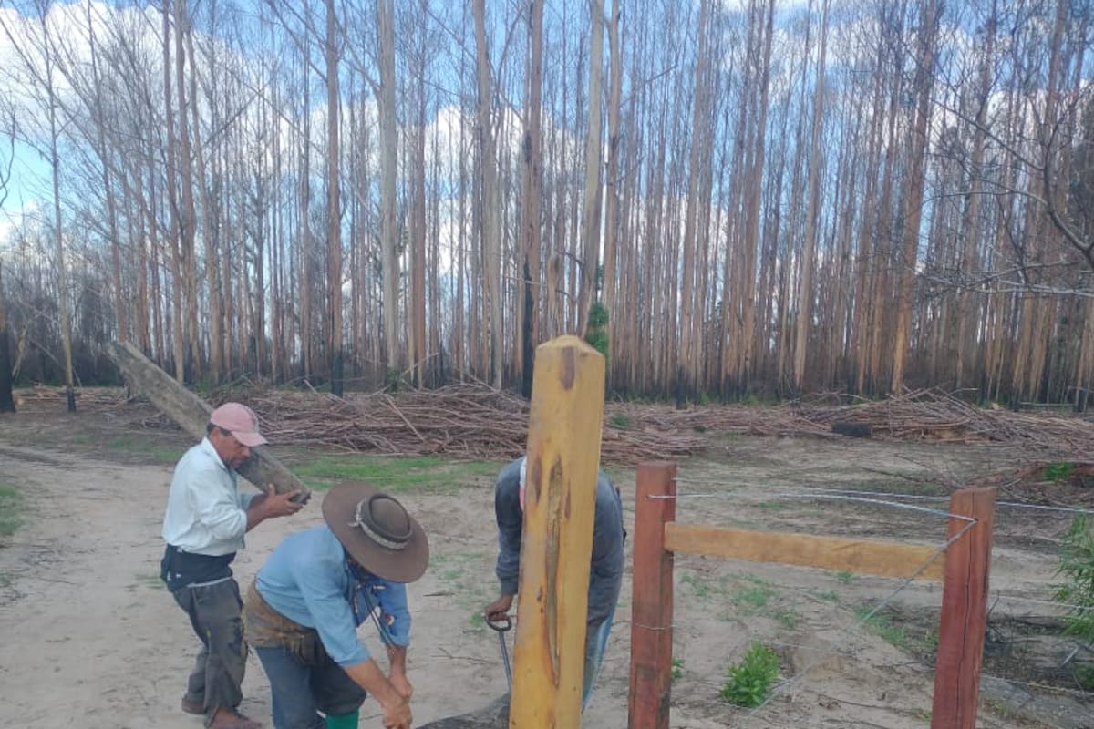 Reconstrucción. En un campo Correntino se vuelve a poner el alambrado perdido
