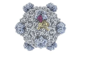 Los primeros virus creados con IA despiertan esperanzas...y alarma