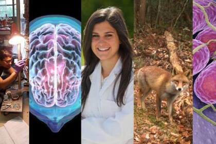 Recorrimos cinco meses y encontramos cinco historias fascinantes