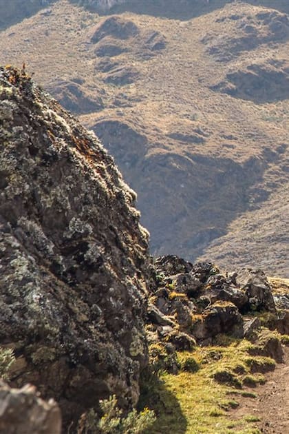 Recostado en los Andes, el Valle Sagrado es un dominio inca menos transitado por el turismo