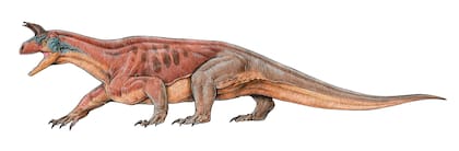 Recreación artística del Shringasaurus