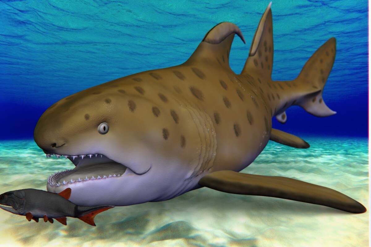 Recreación del tiburón Godzilla