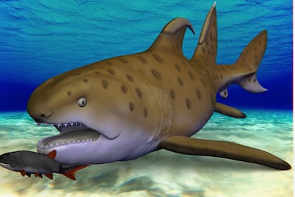 Recreación del tiburón Godzilla