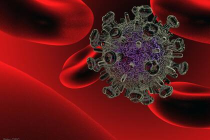 Recreación del virus del VIH
