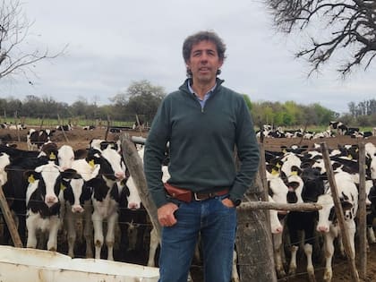 Recría de Holando