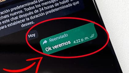Recuerda que copiando y pegando el texto podrás eliminar la palabra "Reenviado" de WhatsApp