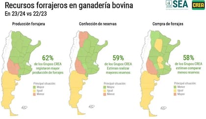 Recursos forrajeros en ganadería bovina