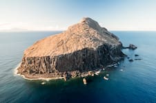 Sacaron más de 6000 ratas y todas las cabras de una isla: lo que encontraron años después los sorprendió