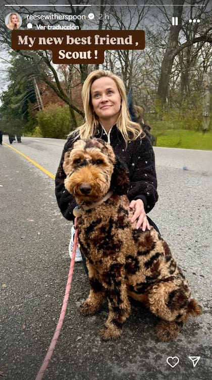 Reese Witherspoon sorprendió al presentar a Scout, su nueva mascota (Captura: Instagram @reesewitherspoon)