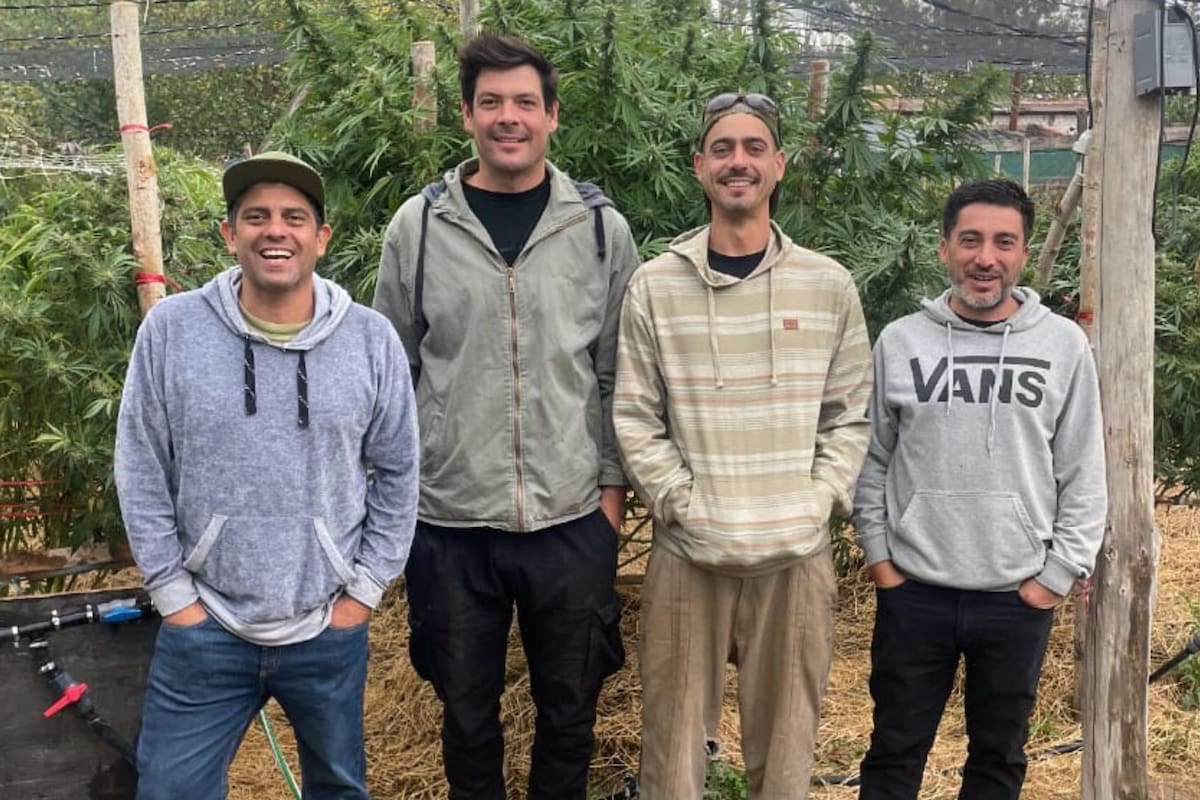 Referentes de la Fundación GEN, una ONG con base en General Roca que lidera el desarrollo del cáñamo industrial en la Patagonia: Luciano Rivera, Ricardo Peña, Lucas Calegari y Martín Ancaten