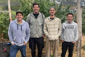 Referentes de la Fundación GEN, una ONG con base en General Roca que lidera el desarrollo del cáñamo industrial en la Patagonia: Luciano Rivera, Ricardo Peña, Lucas Calegari y Martín Ancaten