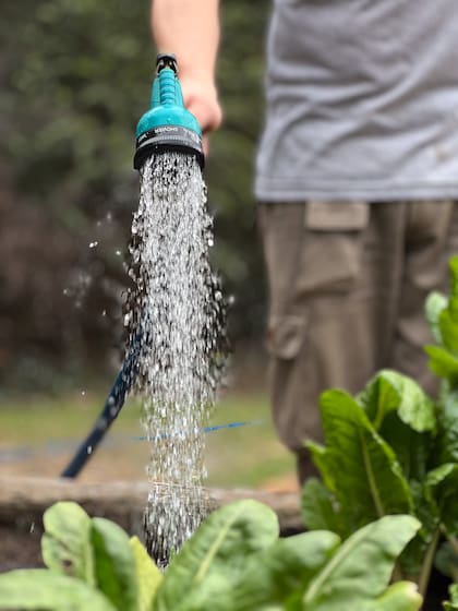 Reforzar el riego durante las olas de calor es una de las medidas principales que se deben tomar
