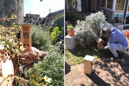 Refugios para abejas solitarias y plantas para atraer insectos polinizadores, los productos protagonistas del emprendimiento.