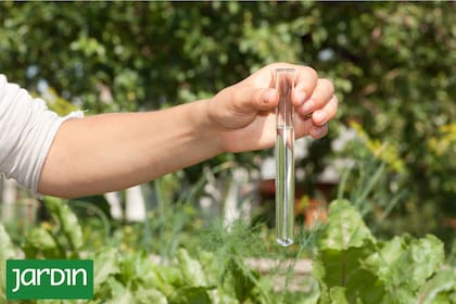Regar con agua dura afecta negativamente a nuestras plantas