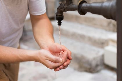 Regar en horarios estratégicos, como al amanecer o al atardecer, ayuda a evitar la evaporación rápida del agua