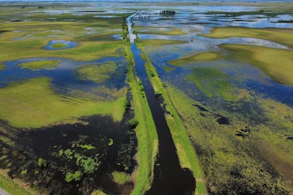 Regiones como el centro oeste bonaerense registraron inundaciones