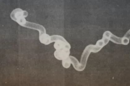 Registro de un supuesto ovni captado por el fotógrafo Adenir Britto