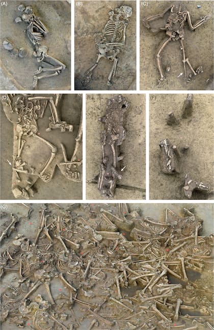 Registros de los cuerpos acomodados de manera irregular y sin sus respectivos cráneos