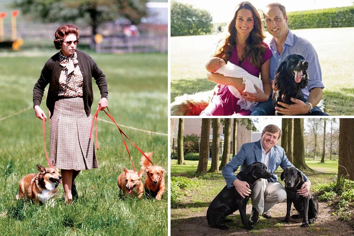 Reinas, reyes y príncipes posan junto a sus adoradas mascotas todos los años: los perros sin dudas son los preferidos de la realeza
