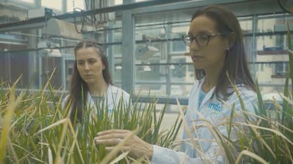 Reinheimer es investigaora del Conicet en el Instituto Agrobiotecnología del Litoral y cofundadora y CEO de Infira