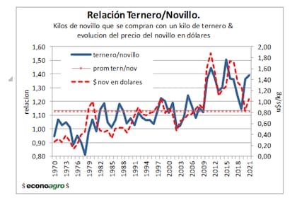 Relación del ternero/novillo