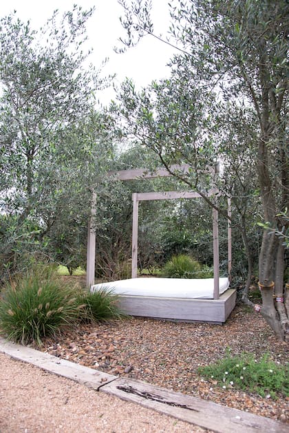 Relax a la sombra de los olivos