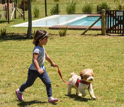 Relax... pero con mascotas en Colinas Serranas.