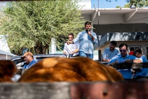 Una consignataria prepara una gira por Buenos Aires con remates, jornadas a campo y ventas de genética