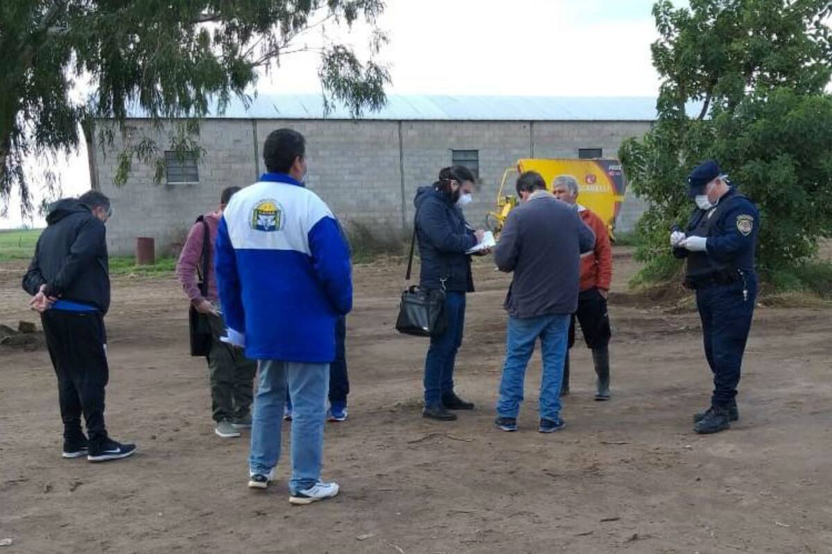 Renatre detectó indicios de explotación laboral y trata de personas en un tambo en Córdoba