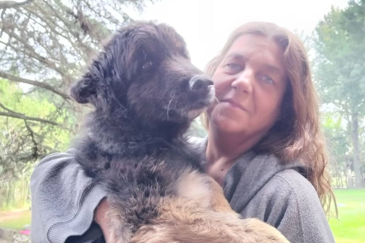 Reneé Cormillot vende objetos de su casa y prepara pastas rellenas para juntar dinero para las intervenciones quirúrgicas y los tratamientos que necesitan sus cinco perros