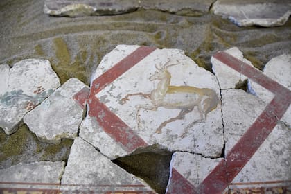 RePair es un robot que analiza fragmentos de frescos de Pompeya rescatados de la ceniza para reensamblarlos, como si fuera un rompecabezas