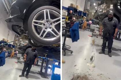 Reparaban un auto en Texas y encontraron una zarigüeya al desarmarlo
