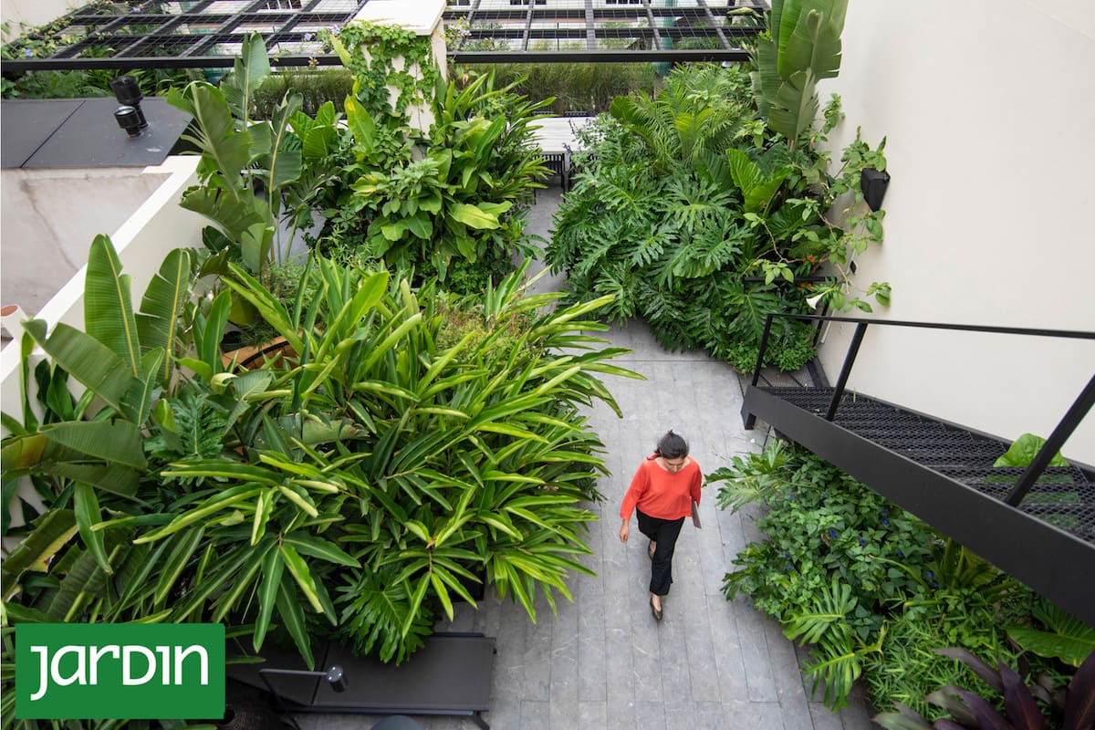 Repetir formas, trabajar con alturas y pensar en el uso cotidiano permite construir jardines con identidad