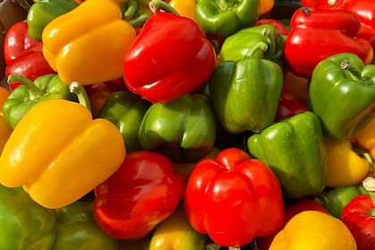 Repleto de nutrientes, el morrón tiene un impacto positivo en la salud