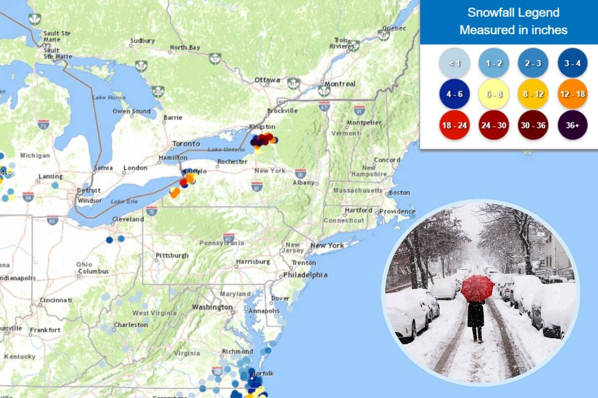 Reporte oficial del Servicio Meteorológico Nacional (NWS) de las nevadas registradas las últimas 24 horas (Foto NWS)