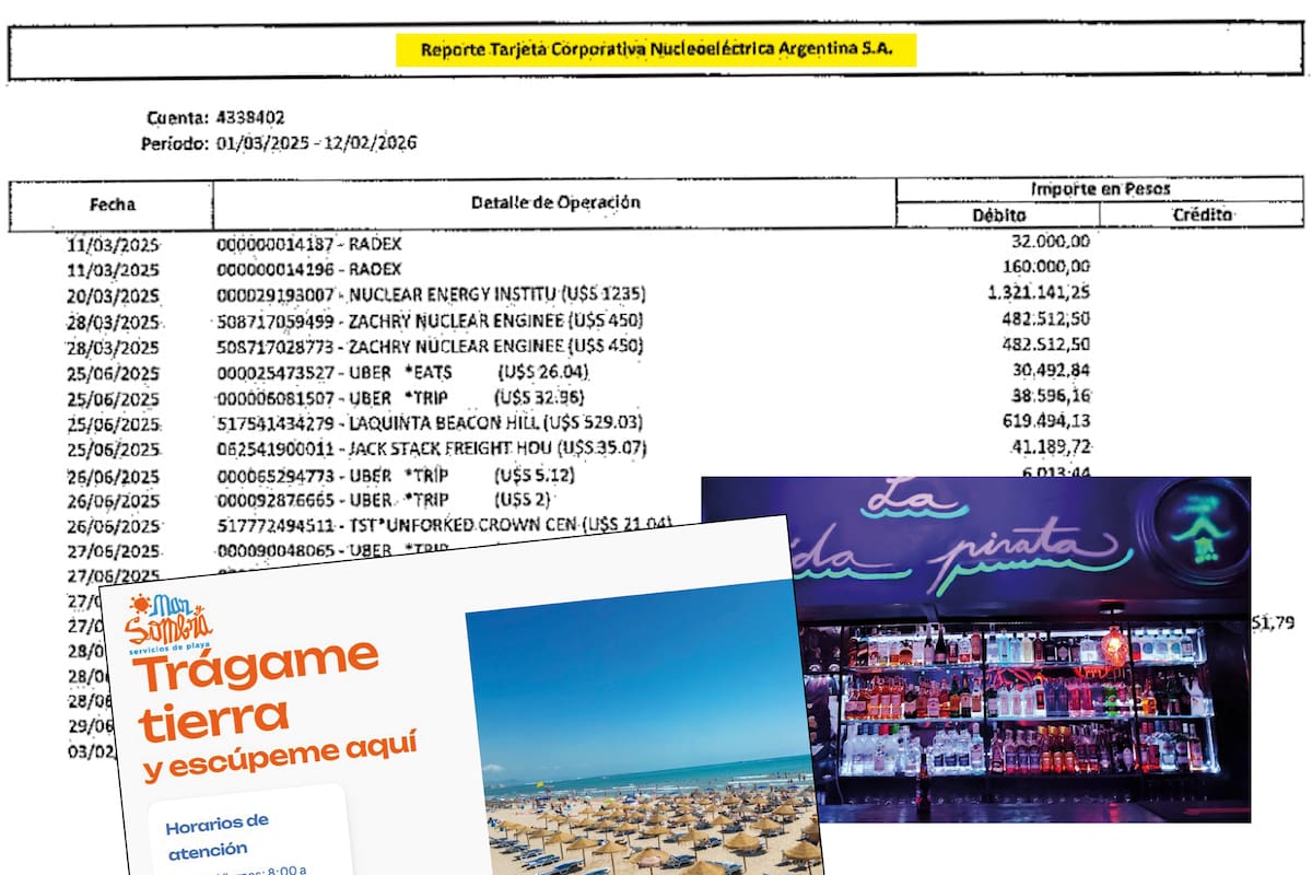 Reporte tarjeta corporativa Nucleoeléctrica Argentina S.A.