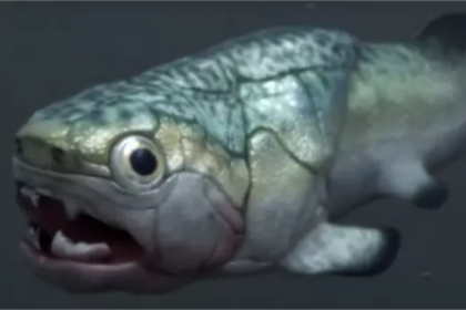 Representación artística de un pez gogo