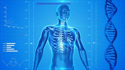 Representación artística del cuerpo humano