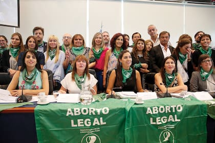 Representantes de distintos bloques introdujeron el 6 de marzo el proyecto por el Aborto Legal, Seguro y Gratuito en el Congreso