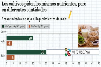Requerimientos nutricionales de los cultivos