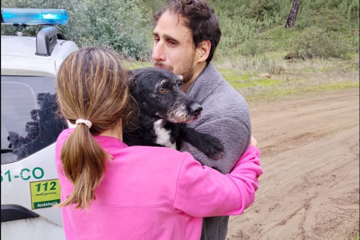 Rescataron a Boro, el perro que se perdió tras el accidente ferroviario en España