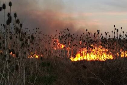 Los incendios en el predio del ex-aeroclub de Laferrere