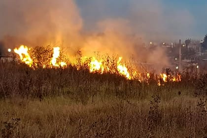 Incendios que se registraron en la reserva de Ciudad Evita
