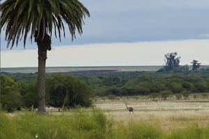 Reserva El Potrero