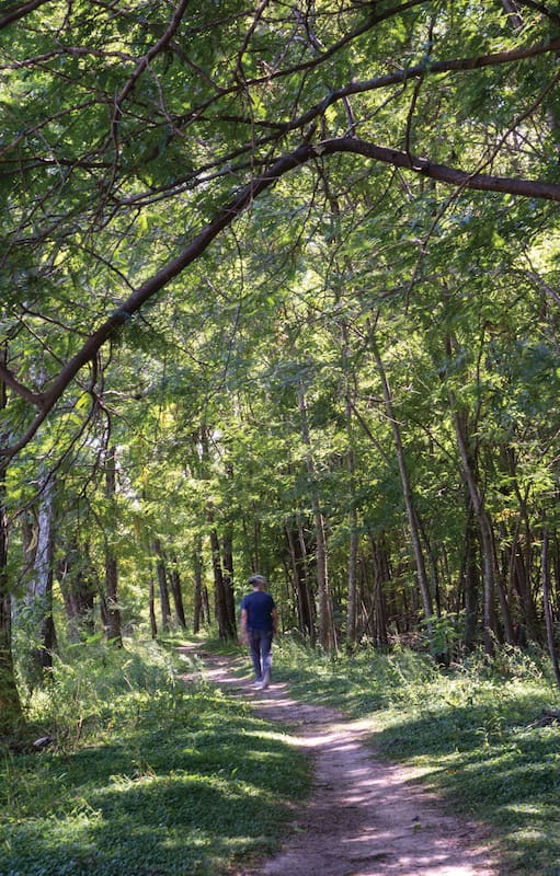 Reserva Natural del Pilar, un espacio creado para promover la protección ambiental.