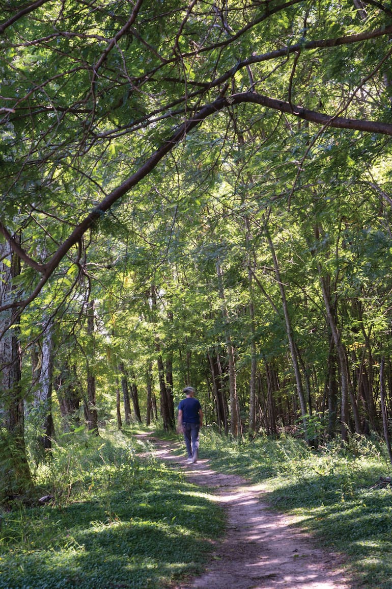 Reserva Natural del Pilar, un espacio creado para promover la protección ambiental.