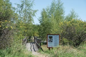 Reserva Natural del Pilar, un espacio creado para promover la protección ambiental.