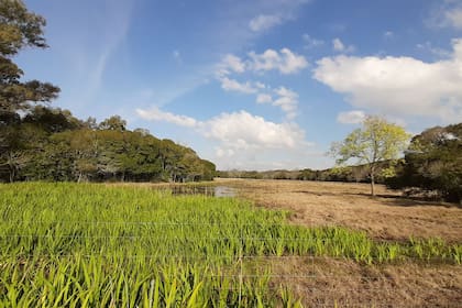Reserva Natural El Destino: queda a menos de tres horas en auto de la Ciudad de Buenos Aires. Se pueden hacer paseos, cabalgatas o quedarse a dormir y pasar el fin de semana cerca del mar y la naturaleza.