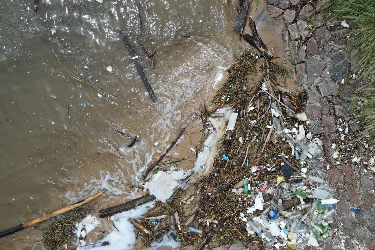 Residuos flotantes en la costa del Río de la Plata